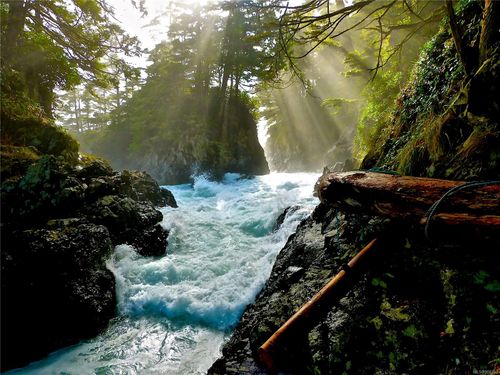 8 Elina Rd, Ucluelet, BC, V0R3A0 | Card Image