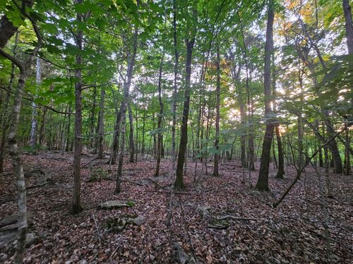 3 Sewanee Summit Rd, Decherd, TN, 37324 | Card Image