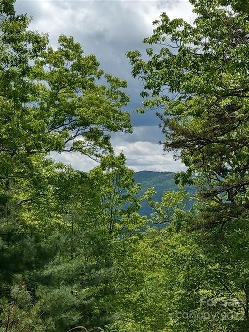 e2-000 Dogwood Cir, Penrose, NC, 28766 | Card Image