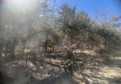 203 Pavilion Ln Lane, Horseshoe Bend, AR, 72512 | Card Image