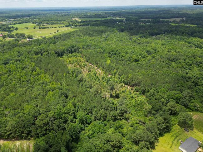 00 Kirkland Rd, Home with 0 bedrooms, 0 bathrooms and null parking in Rembert SC | Image 4