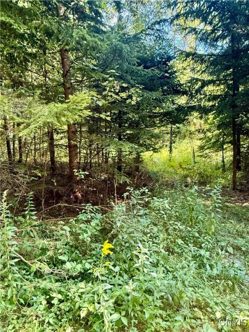 1792 Steve Russell Hill Rd, Marathon, NY, 13803 | Card Image