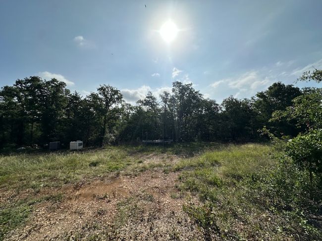 View of wooded area | Image 4