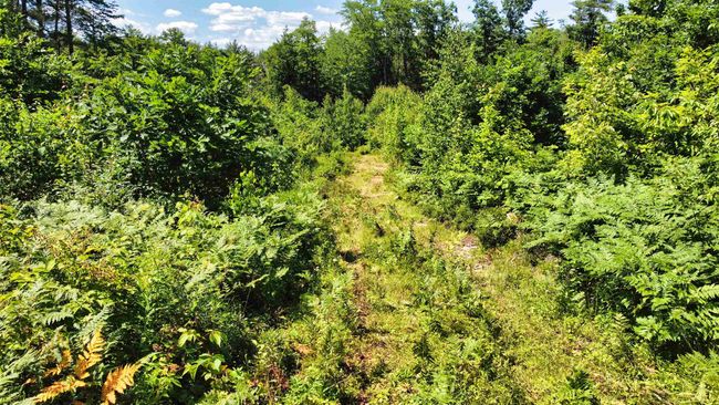 243 Currier Rd, Home with 0 bedrooms, 0 bathrooms and null parking in Andover NH | Image 18