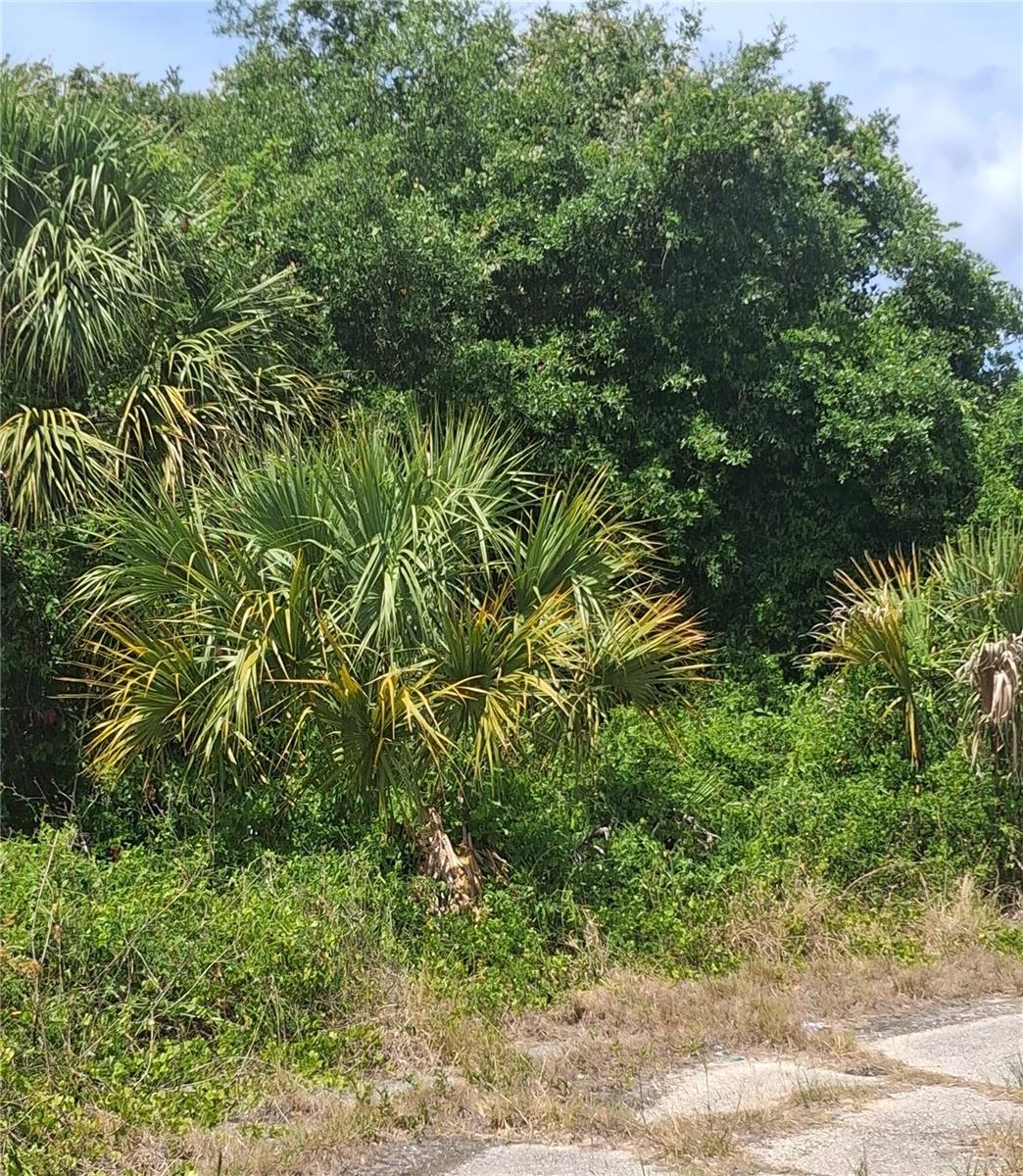 Land in NORTH PORT 4