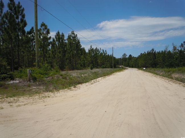 2231 Barts Rd, Home with 0 bedrooms, 0 bathrooms and null parking in Loris SC | Image 13
