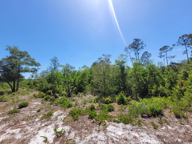 2155 State Road 40, Home with 0 bedrooms, 0 bathrooms and null parking in De Leon Springs FL | Image 57
