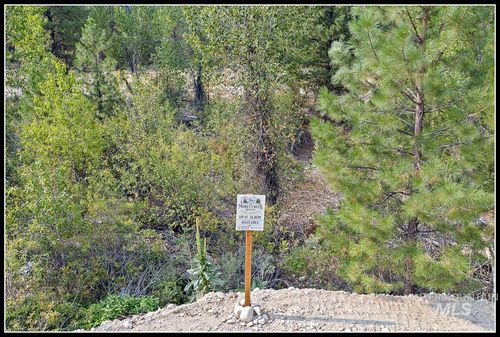 61 Lila Way, Idaho City, ID, 83631-4168 | Card Image