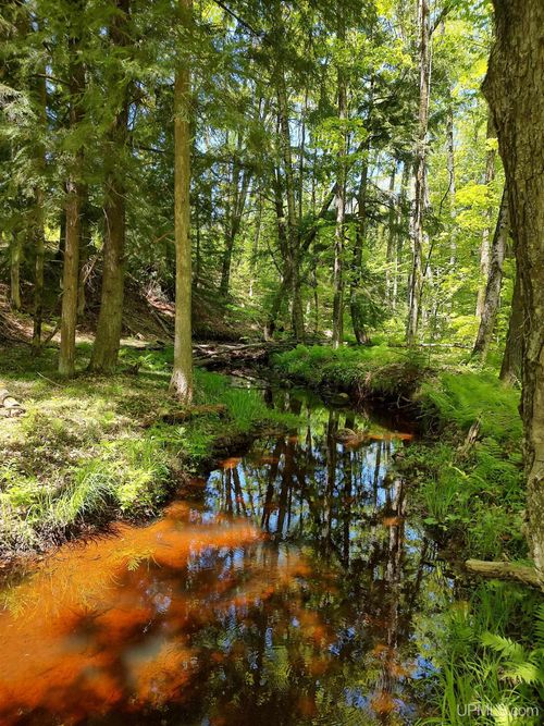 TBD Woodspur Road, Ontonagon, MI, 49953 | Card Image