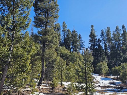 NHN Elkhorn Rd, Helmville, MT, 59843 | Card Image