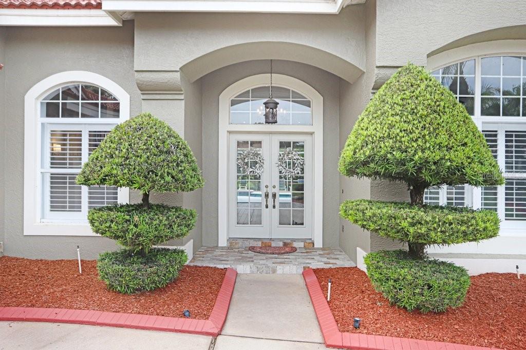 Residential in WESLEY CHAPEL 5