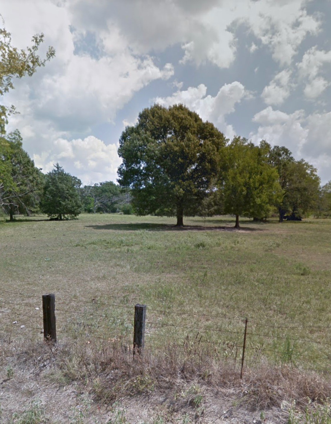 Land in Grand Saline 2