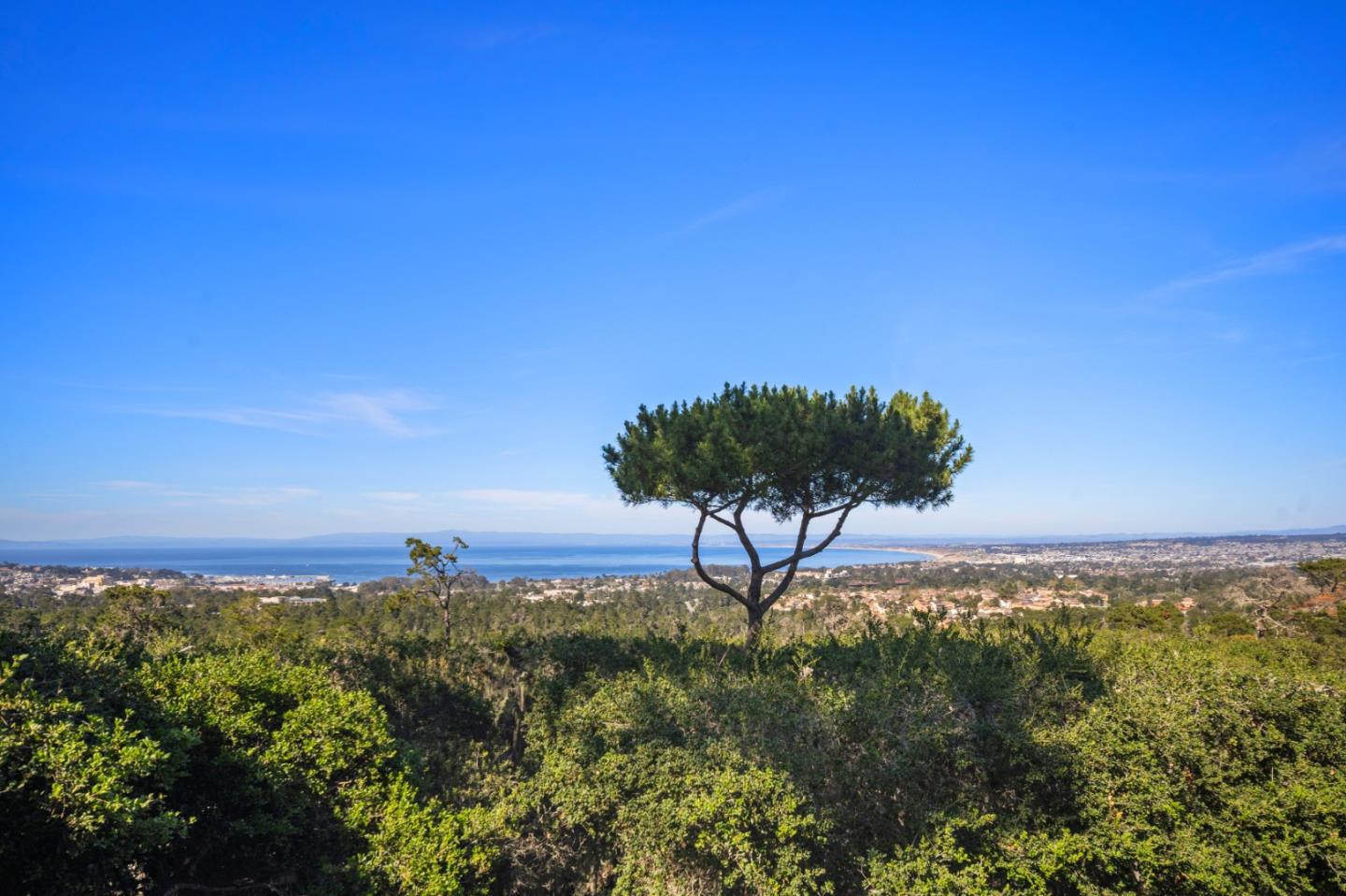 Residential in Carmel 2