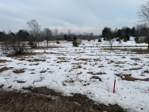 15680 Tyrone Avenue, Kent City, MI, 49330 | Card Image