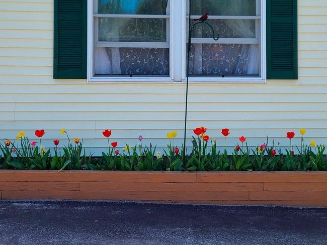 1501 W Salisbury Rd, House other with 3 bedrooms, 1 bathrooms and null parking in Salisbury VT | Image 29