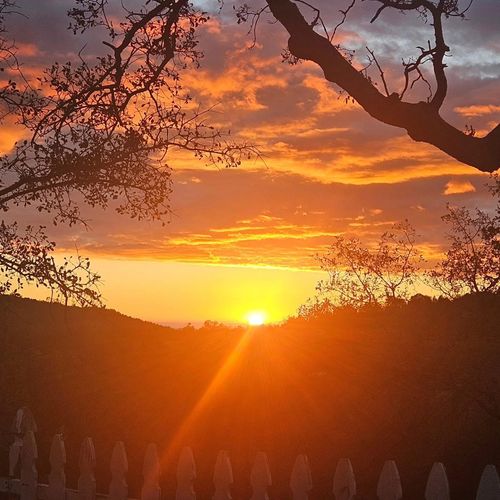 46455 Konklin Rd, Coarsegold, CA, 93614-8921 | Card Image