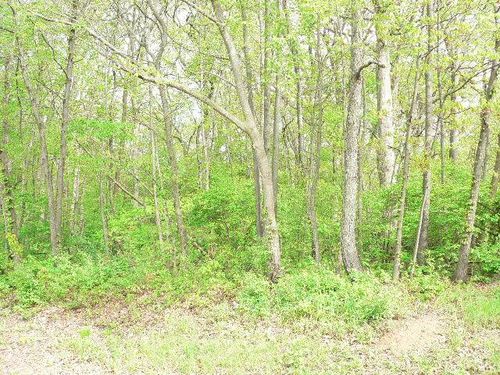 278 Blackhawk Dr, Sparland, IL, 61565 | Card Image