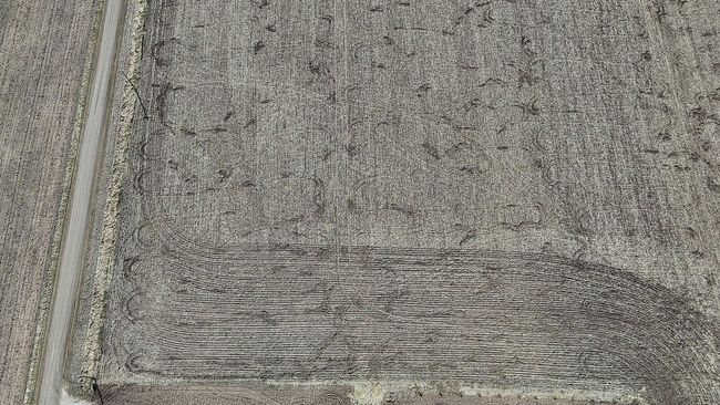 DJI_20250422153719_0681_D.JPG | Image 13
