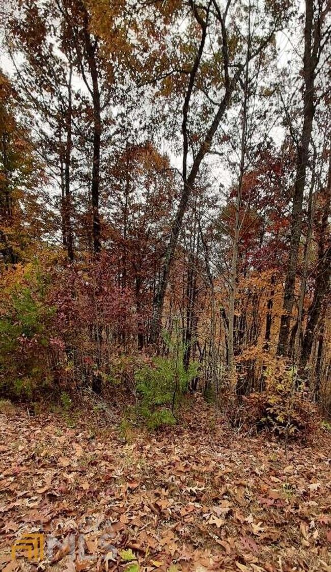 177 - 0 Owen Glenn Dr, Home with 0 bedrooms, 0 bathrooms and null parking in Blairsville GA | Image 8