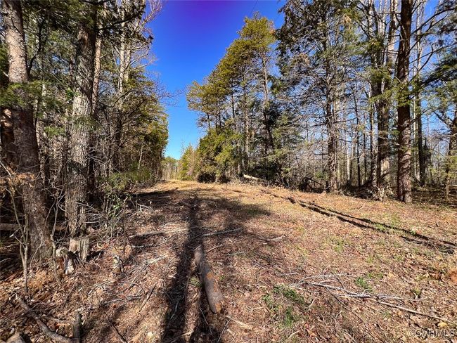 View of landscape with a wooded view | Image 6