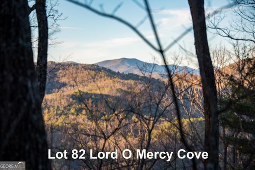 87-0 Eagle Eye Trl, Tiger, GA, 30576 | Card Image