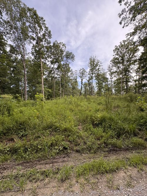 0 Old Lockhart Rd, Tennessee Ridge, TN, 37178 | Card Image