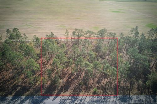 lot 25, 26 Nw Buena Vista Road, DUNNELLON, FL, 34431 | Card Image