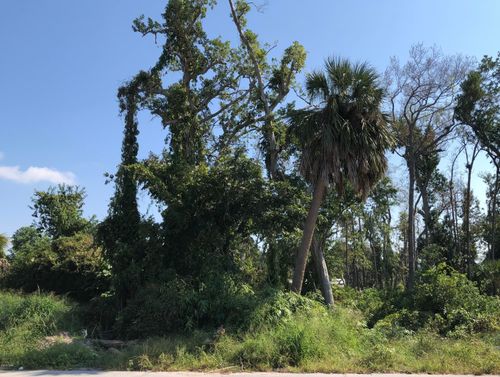 0000 Drummond Ave, Panama City, FL, 32401 | Card Image