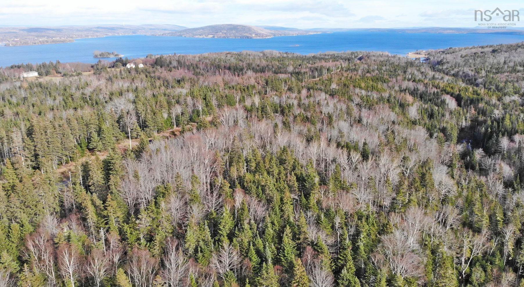 Land in Lower Washabuck 4