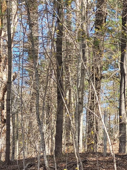 921 Copper Mine Rd, Corinth, VT, 05039 | Card Image