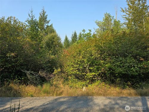 13849 Starflower Ln Se, Yelm, WA, 98597-4606 | Card Image