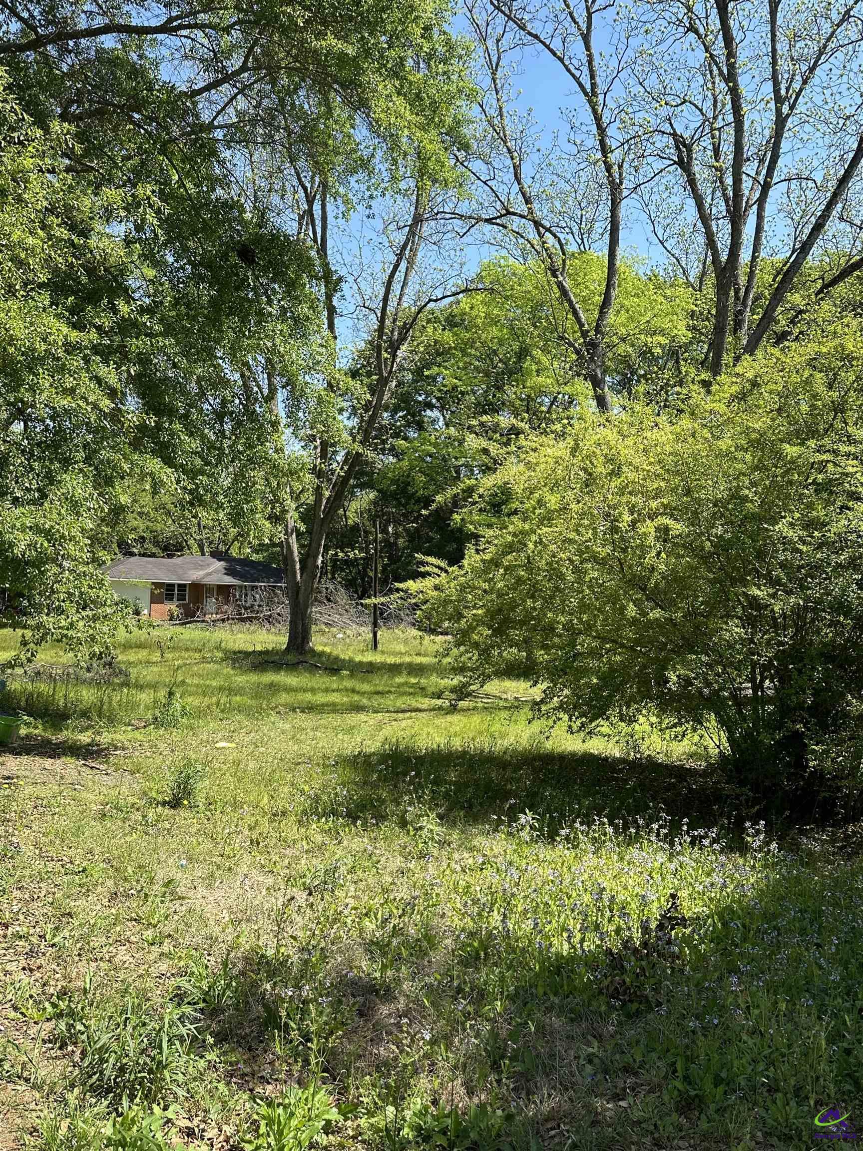 Forest Ave, Bonaire, GA 31005