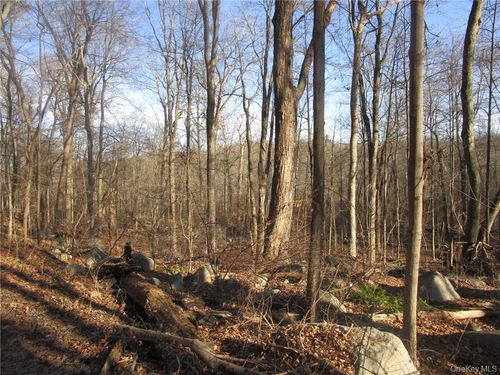46 Ruth Rd, Cortlandt Mnr, NY, 10567-7318 | Card Image