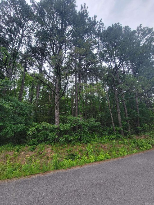 266 Mariposa Loop, Home with 0 bedrooms, 0 bathrooms and null parking in Bee Branch AR | Image 9