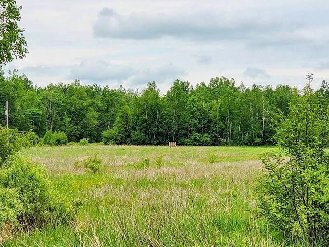 W12781 Rangeline Road, House other with 3 bedrooms, 1 bathrooms and null parking in ACKLEY WI | Image 41