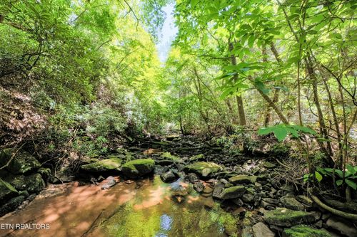 0 Leffle Webb Rd, CROSSVILLE, TN, 38572 | Card Image