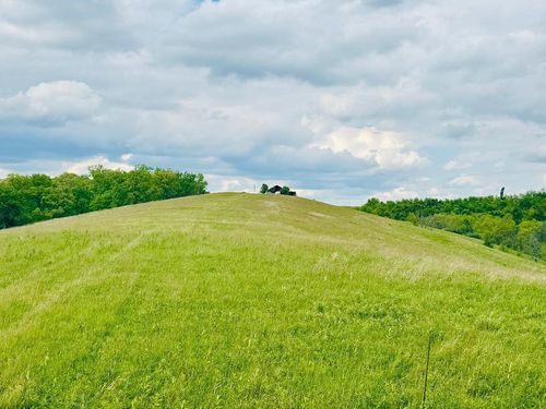 43-acres--43 Acres Chipman Ridge Road, Williamstown, KY, 41097 | Card Image