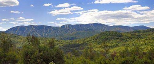 62-3 Bear River Rd, Newry, ME, 04261-3821 | Card Image