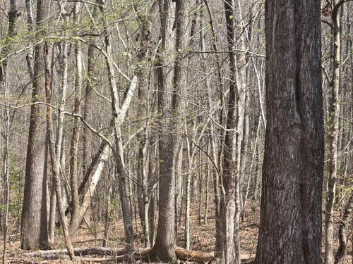 0 Equestrian Trail Road, New Canton, VA, 23123 | Card Image