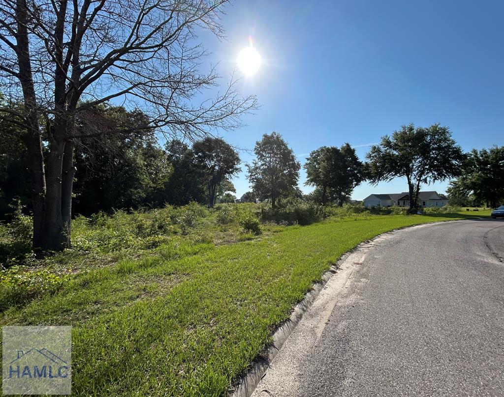 Land in Jesup 4