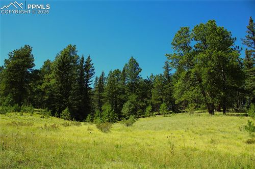 6500 County Road 5, Divide, CO, 80814-9135 | Card Image
