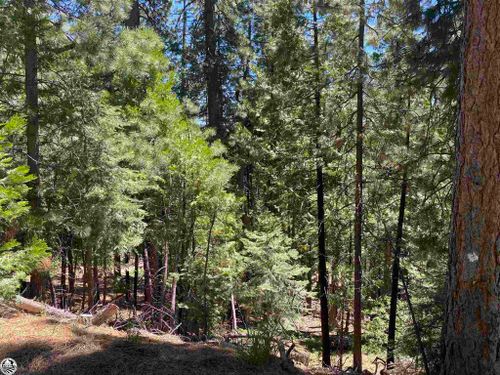 Lot 307 Lassen Drive, Cold Springs, CA, 95335-0000 | Card Image