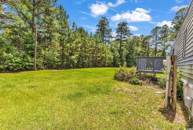 View of green lawn | Image 28
