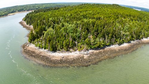 24 Looks Cemetery Road, Jonesboro, ME, 04648 | Card Image