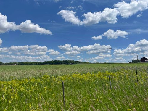 8474 E M 115, Cadillac, MI, 49601-9749 | Card Image