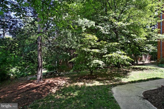 APT-7 - 2129 19 Th St N, Condo with 2 bedrooms, 1 bathrooms and null parking in ARLINGTON VA | Image 20