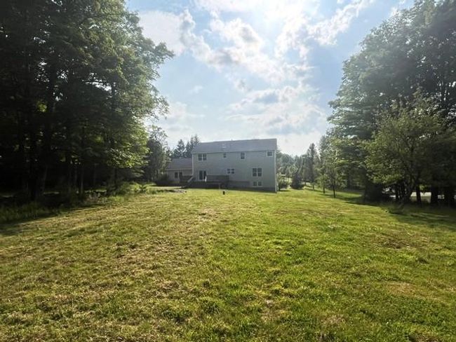 View of green lawn | Image 4