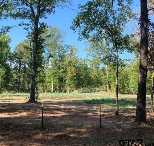 Lot 3 Waldrons Ferry Rd, Hallsville, TX, 75650 | Card Image