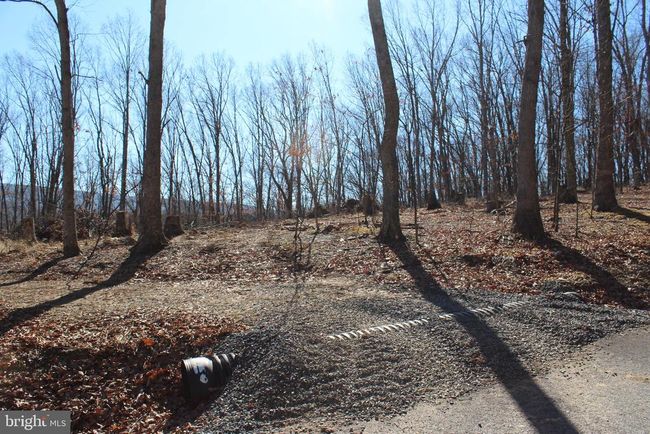 141 Hillcrest Dr, Home with 0 bedrooms, 0 bathrooms and null parking in New Creek WV | Image 5