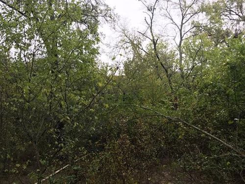 TBD Farm Market 1365, Mexia, TX, 76667 | Card Image